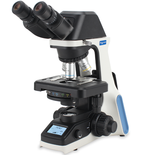 NE300系列教学正置显微镜