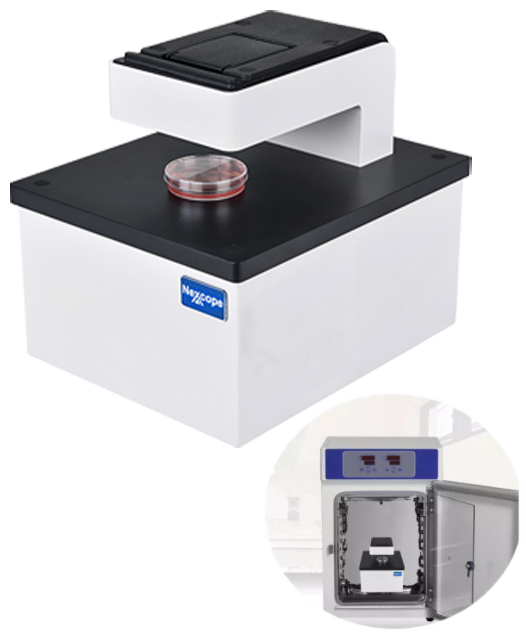 NCM细胞培养成像仪